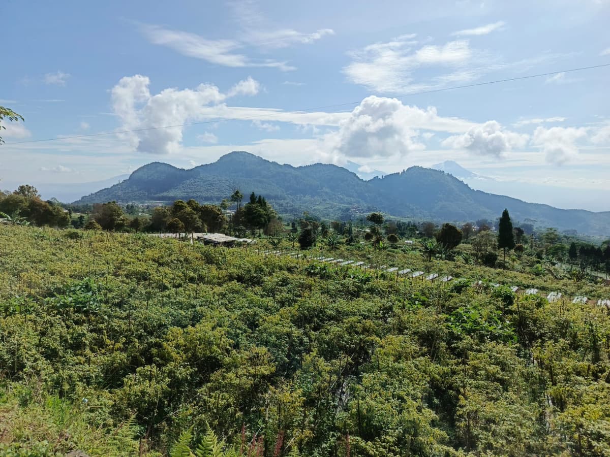 Desa Girimulyo - Traditional Indonesian Village